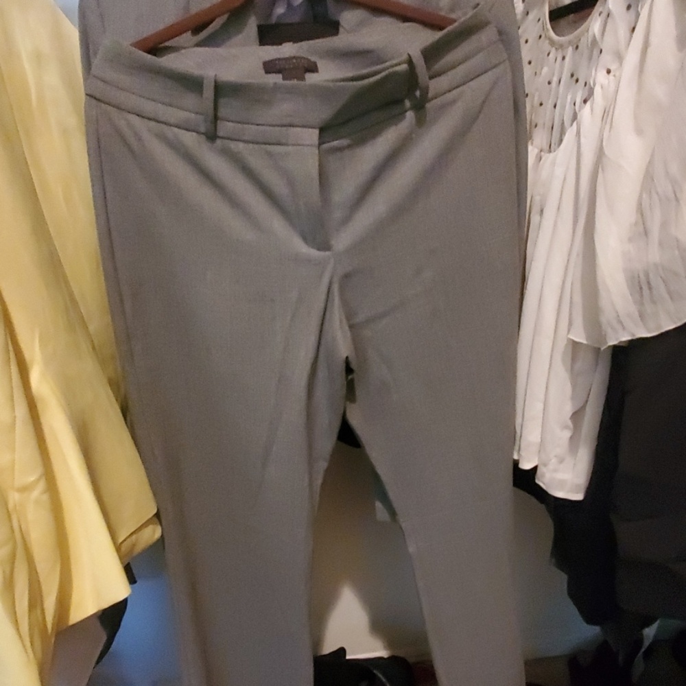 Limited 2pc Suit